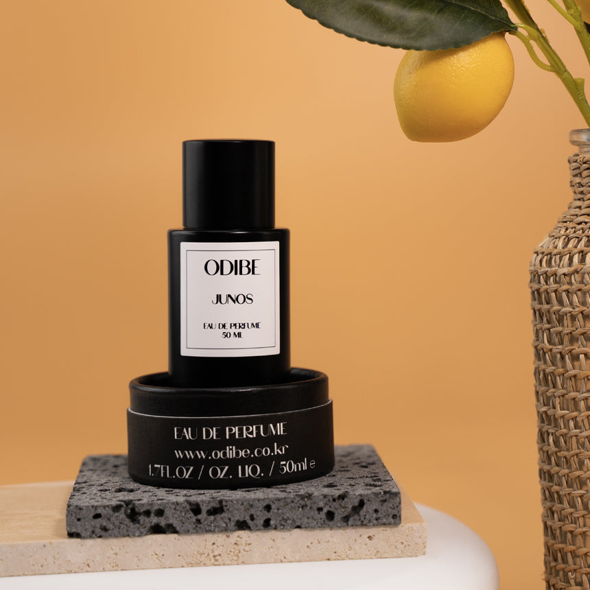 오디베 오드퍼퓸 5종 50ml 니치향수